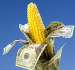farm-bill-corn